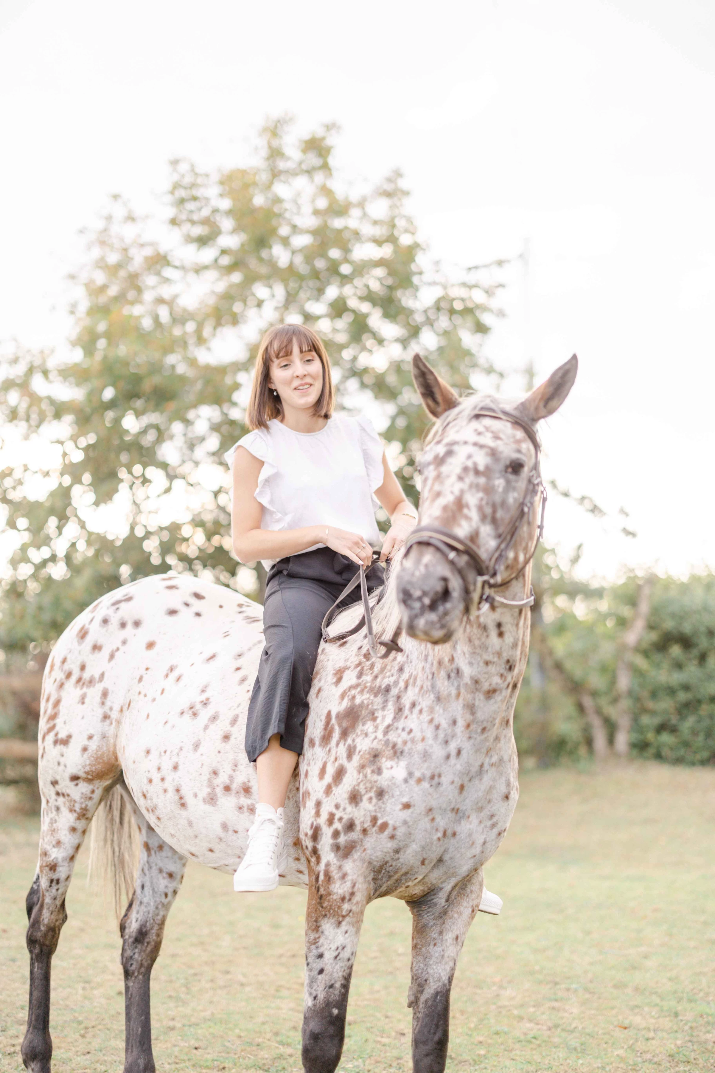 cheval bride gris animal extérieur
